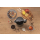 Gorenje Czajnik K17DWD - 1260568 - zdjęcie 6